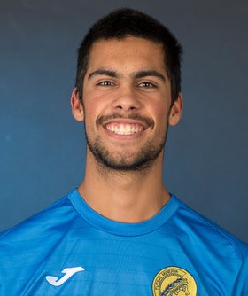 Dinis Ferreira Ramos