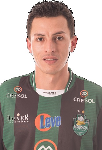 Emerson Aparecido da Rocha Alves