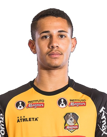 Thalles Henrique Aleixo Lima Flauzino