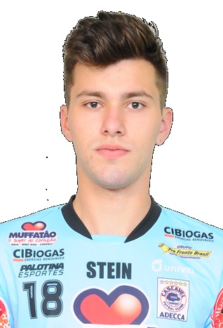 Matheus Felix Heldt Rosa da Luz