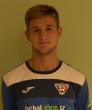 Tarik Luksija