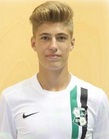 Patrik Krisztian Pal