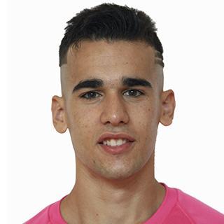 Victor Areales Madueno