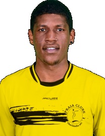Flavio Henrique Alexandre Junior