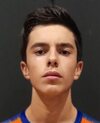 Dinis Miguel Arteiro Almeida Lopes