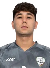 Mohammad Javad Safari