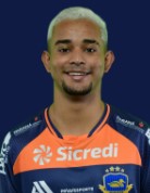 Ryan Henrique Palenski