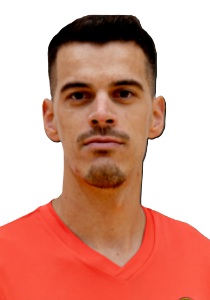 Slobodan Tomic