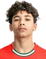 Diego Ricardo Sousa Ferreira